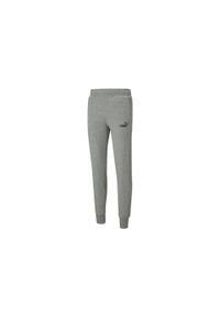 Spodnie Puma Essentials Slim, Mężczyźni. Kolor: szary. Materiał: bawełna