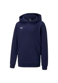 Puma - Bluza Dziecięca TeamGoal 23 Casual Hoodie. Kolor: niebieski