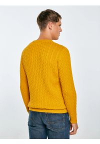 Big-Star - Sweter męski ze splotem warkoczowym żołty Amaris 201. Okazja: na co dzień. Kolor: żółty. Materiał: jeans, dzianina. Wzór: ze splotem. Styl: klasyczny, casual #4