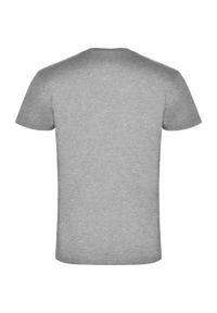 ROLY - Męska Koszulka Samoyedo Z Dekoltem V. Kolor: szary. Sport: turystyka piesza #2