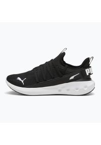 Adidasy Puma Softride Carson Fresh, Dla obu płci. Kolor: czarny, biały, wielokolorowy. Materiał: syntetyk, materiał. Sport: bieganie