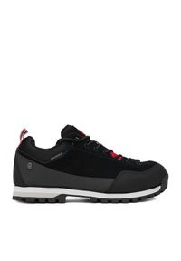 Sneakersy Hunter. Kolor: czarny