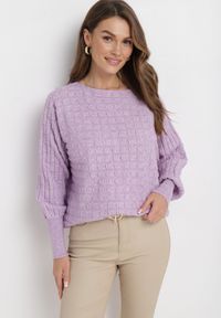Born2be - Fioletowy Klasyczny Sweter z Rękawami Nietoperza Steresa. Kolor: fioletowy. Długość rękawa: długi rękaw. Długość: długie. Styl: klasyczny #1