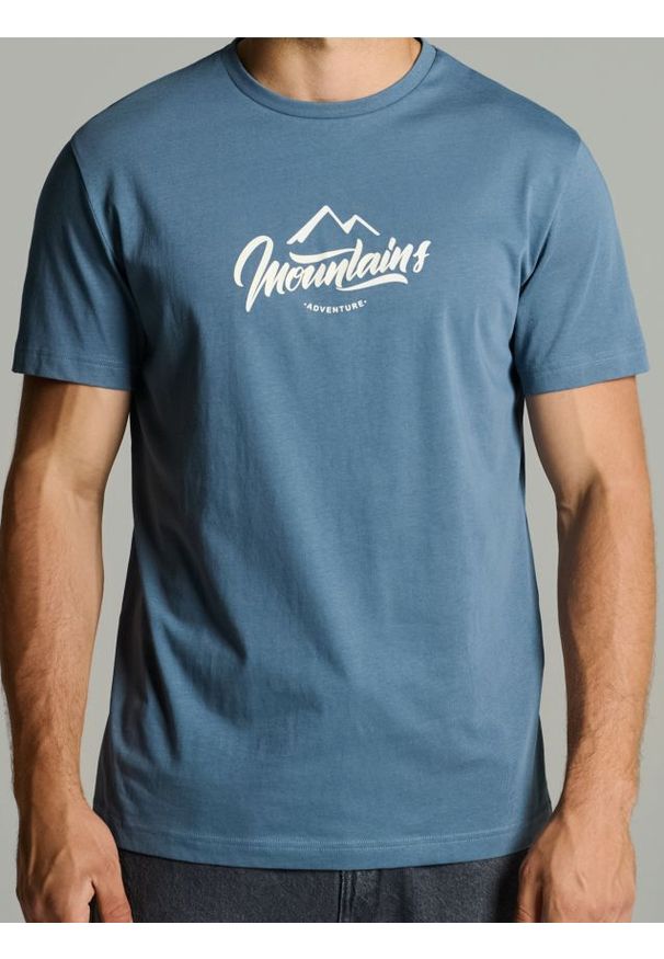 Sinsay - Koszulka regular z nadrukiem - szary. Kolor: szary. Wzór: nadruk