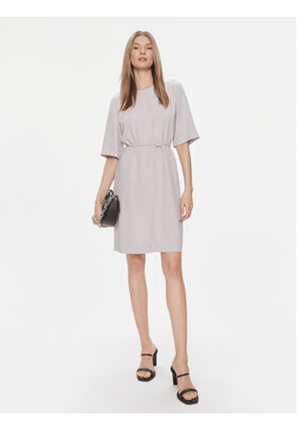 Calvin Klein Sukienka codzienna K20K206375 Szary Regular Fit. Okazja: na co dzień. Kolor: szary. Materiał: syntetyk. Typ sukienki: proste. Styl: casual