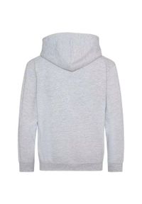 AWDIS - Wrzosowa Bluza Z Kapturem Dla Dzieci/dzieci. Typ kołnierza: kaptur. Kolor: szary