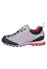 Buty do chodzenia damskie Dolomite Diagonal Gtx. Kolor: szary. Styl: sportowy