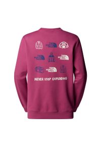 Bluza The North Face Outdoor Graphic. Kolor: różowy. Sport: outdoor #2
