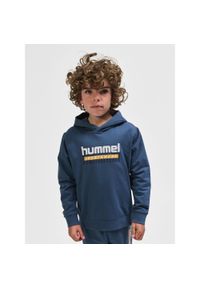 Bluza z kapturem dla dzieci Hummel Tukas. Typ kołnierza: kaptur. Kolor: niebieski, turkusowy, wielokolorowy