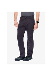 Spodnie turystyczne męskie Helly Hansen Elv Light Zip Off Pant. Kolor: szary