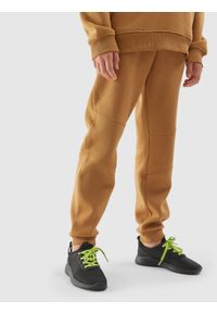 4F JUNIOR - Spodnie dresowe joggery chłopięce - brązowe. Kolor: brązowy. Materiał: dresówka