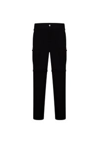 DARE 2B - Męskie Spodnie Z Odpinanymi Nogawkami Tuned In II. Kolor: czarny. Sport: turystyka piesza #1