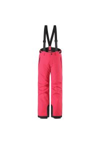 Spodnie narciarskie dla dzieci Reima Tiera 532154. Materiał: materiał. Sezon: zima. Sport: narciarstwo #1