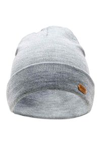 Iguana - Zimowa Czapka Unisex Dla Dorosłych Seine. Kolor: szary. Sezon: zima