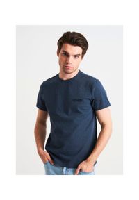 Ochnik - T-shirt męski. Kolor: niebieski. Materiał: bawełna #1