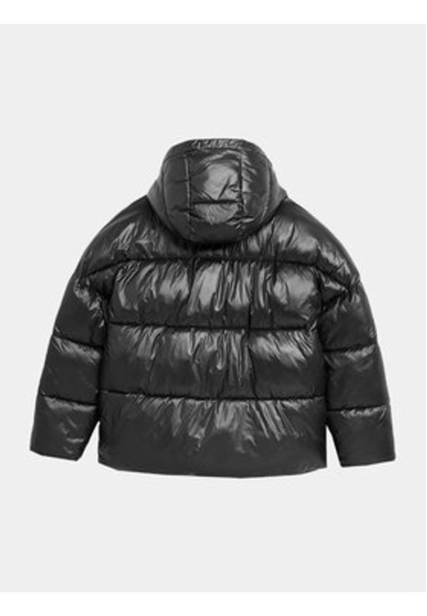 4f - 4F Kurtka zimowa 4FAW23TDJAF231 Czarny Regular Fit. Kolor: czarny. Materiał: syntetyk. Sezon: zima