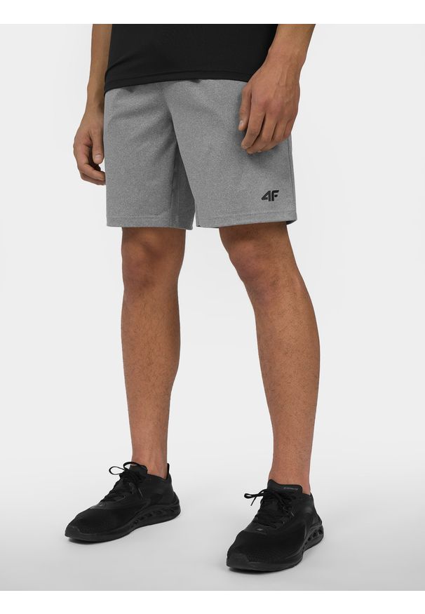 4f - 4F Spodenki treningowe szybkoschnące męskie L. Kolor: szary. Materiał: materiał, guma, włókno