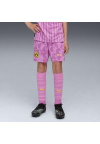 Puma - Młodzieżowe szorty KIDSUPER × BORUSSIA DORTMUND PUMA. Kolor: różowy. Sezon: lato. Sport: piłka nożna