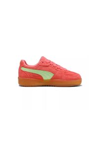 Puma Buty Palermo Moda Xtra Gum 40032305. Kolor: pomarańczowy. Materiał: guma