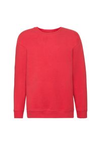 FRUIT OF THE LOOM - Bluza Dziecięca Premium. Kolor: czerwony