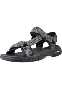 skechers - Sandały Mężczyzna Skechers Relaxed Fit: Lomell Rip Tide czarny. Kolor: szary. Sezon: lato