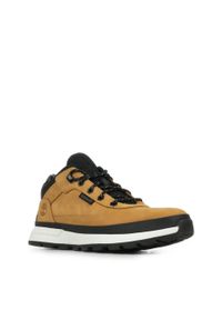 Timberland - Buty TIMBERLAND FIELD TREKKER LOW LACE Jasnobrązowy. Kolor: brązowy. Materiał: tkanina, skóra