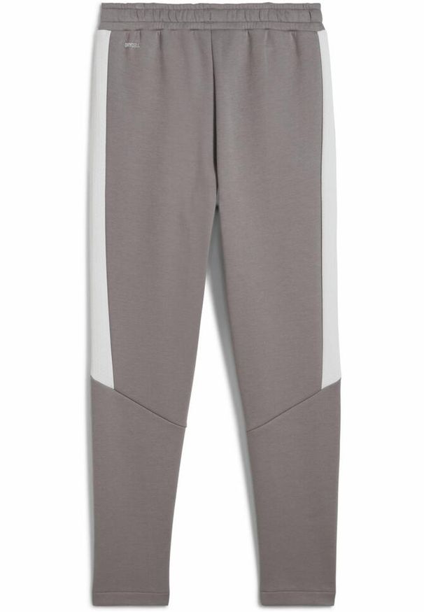 Puma - Młodzieżowe spodnie Evostripe PUMA Cast Iron Gray. Kolor: szary