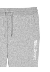 PAPROCKI&BRZOZOWSKI - Szare spodnie dresowe z haftowanym logo. Kolor: szary. Materiał: dresówka. Długość: długie. Wzór: haft #2