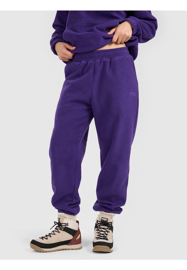 4f - 4F Spodnie dresowe polarowe damskie - fioletowe L. Kolor: fioletowy. Materiał: polar, dresówka. Sport: turystyka piesza