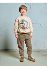 Sinsay - Jeansy z przeszyciami na kolanach - khaki. Kolor: brązowy