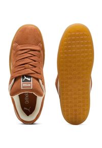 Buty do chodzenia damskie Puma 39520549. Zapięcie: sznurówki. Kolor: brązowy. Materiał: guma, syntetyk, materiał, skóra, tkanina. Szerokość cholewki: normalna. Sport: turystyka piesza