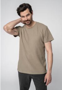 Volcano - T-shirt w kolorze beżowym TM-SAMUEL. Okazja: na co dzień. Kolor: beżowy. Materiał: dzianina, materiał, bawełna. Długość rękawa: krótki rękaw. Długość: krótkie. Wzór: geometria, gładki, ze splotem. Styl: casual, klasyczny #1