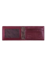 Wittchen - Etui na karty kredytowe bordowe. Kolor: czerwony. Materiał: skóra, lakier. Wzór: aplikacja #3