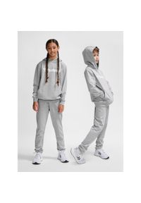 Bluza z kapturem dla dzieci Hummel Go 2.0 Logo. Typ kołnierza: kaptur. Kolor: szary. Sport: joga i pilates #1