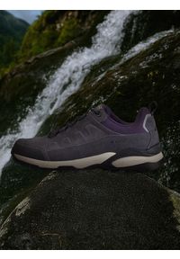 4f - 4F Niskie buty trekkingowe damskie - szare 40. Wysokość cholewki: przed kostkę. Kolor: szary. Materiał: zamsz. Szerokość cholewki: normalna #1