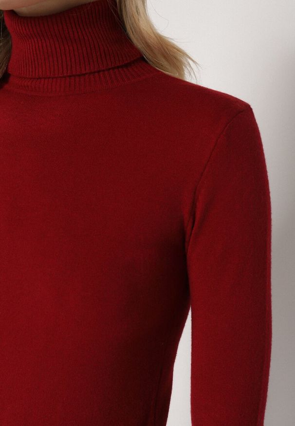 Born2be - Bordowy Klasyczny Golf z Bawełną Reilisea. Okazja: na co dzień. Typ kołnierza: golf. Kolor: czerwony. Materiał: bawełna. Styl: klasyczny