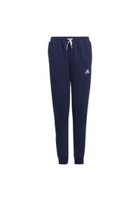 Adidas - Entrada 22 Sweat Pants. Kolor: niebieski. Materiał: polar, dresówka. Sport: piłka nożna