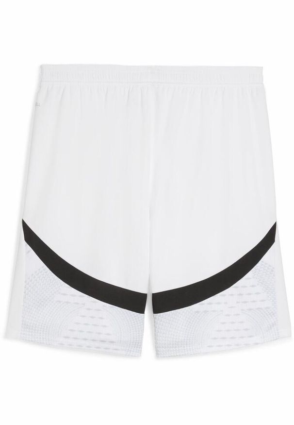 Puma - Męskie szorty Egipt 2025 PUMA White Cool Mid Gray. Kolor: biały, wielokolorowy, szary