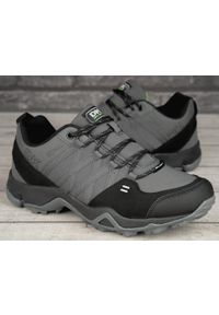 Buty męskie sportowe trekingowe DK SWAT. Kolor: szary, wielokolorowy, czarny #2