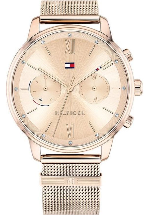 Zegarek Tommy Hilfiger ZEGAREK DAMSKI TOMMY HILFIGER 1782303 BLAKE (zf515d)