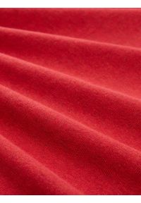 Męski Sweter Tom Tailor Basic Crewneck Knit Salsa Red Non-Solid 1039805 13686 #2