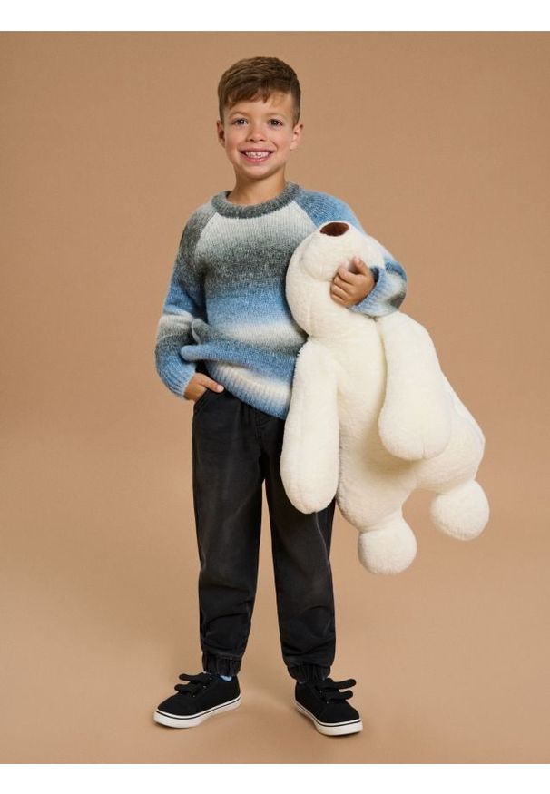 Sinsay - Jeansy jogger z ociepleniem - czarny. Kolor: czarny