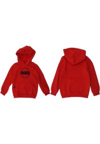 Bluza z kapturem dziecięca Puma DCT Hoodie. Typ kołnierza: kaptur. Kolor: czerwony