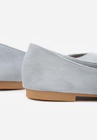 Born2be - Niebieskie Balerinki z Imitacji Zamszu z Noskiem w Szpic Egynome. Okazja: na co dzień, na spotkanie biznesowe, do pracy. Kolor: niebieski. Materiał: zamsz. Styl: casual, biznesowy, elegancki #9