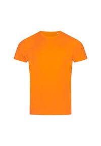 Stedman - Męska Koszulka Sportowa. Kolor: pomarańczowy. Sport: turystyka piesza #1