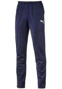 Spodnie Puma Men Liga Pants Core, Mężczyźni. Kolor: niebieski. Materiał: materiał, poliester