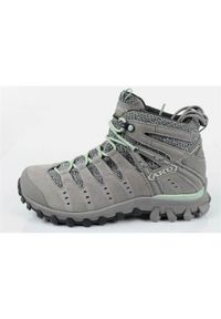 Buty trekkingowe damskie Aku Alterra Lite Goretex. Zapięcie: sznurówki. Kolor: szary. Materiał: syntetyk, tkanina, materiał. Szerokość cholewki: normalna. Styl: sportowy