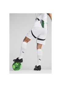 Puma - Męskie szorty Borussia Mönchengladbach 24/25 PUMA White Black. Kolor: biały, wielokolorowy, czarny. Sport: piłka nożna