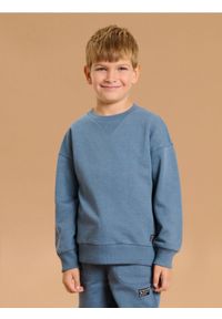 Sinsay - Bluza crewneck - szary. Kolor: szary