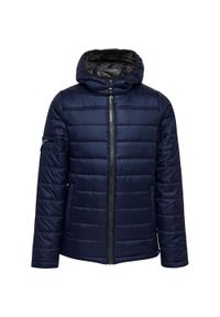 Parka dla dzieci Hummel Hummel North Quilted. Kolor: niebieski. Materiał: tkanina. Sport: piłka nożna